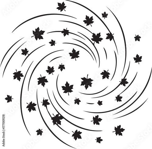 Swirling vortex of black maple leaves on a white background Keywords: autumn, fall, leaves, maple