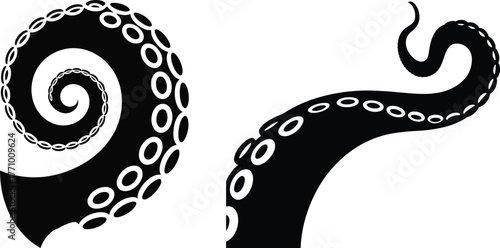 Octopus Tentacle Silhouette – Marine Creature Curl Vector Illustration