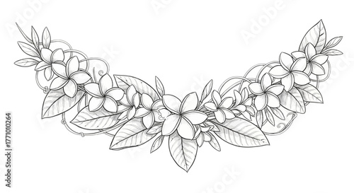 Elegant contoured floral frangipani garland with foliage for decorative design