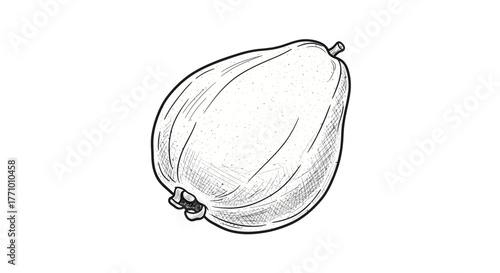 Elegant Hand-Drawn Guava Illustration on White Background for Design