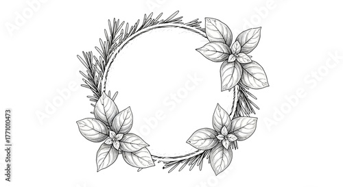 Elegant herbal frame with basil and rosemary illustrations for culinary designs