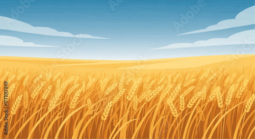 A picturesque vista of a golden wheat field under a blue sky with scattered clouds in the distance view