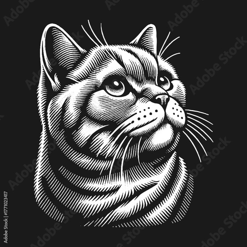 Intricate Engraving of a Regal Cat with Intense Focus.