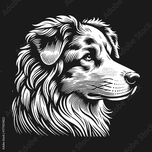 Elegant Dog Portrait in Detailed Engraving Style.