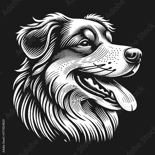 Wallpaper Mural Detailed Engraving of a Happy Dogs Portrait in Black and White. Torontodigital.ca