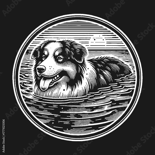 Australian Shepherd Swimming in Water Engraved Illustration Black and White.