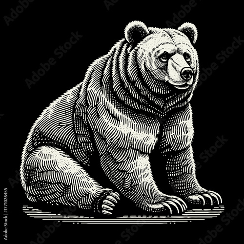 Detailed Engraving of a Majestic Bear in a Sitting Pose.