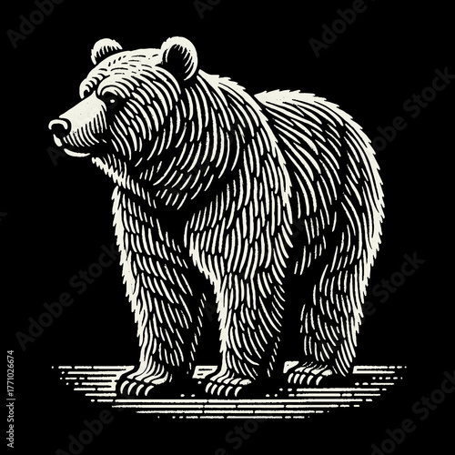 Majestic Grizzly Bear Illustration on Black Background.