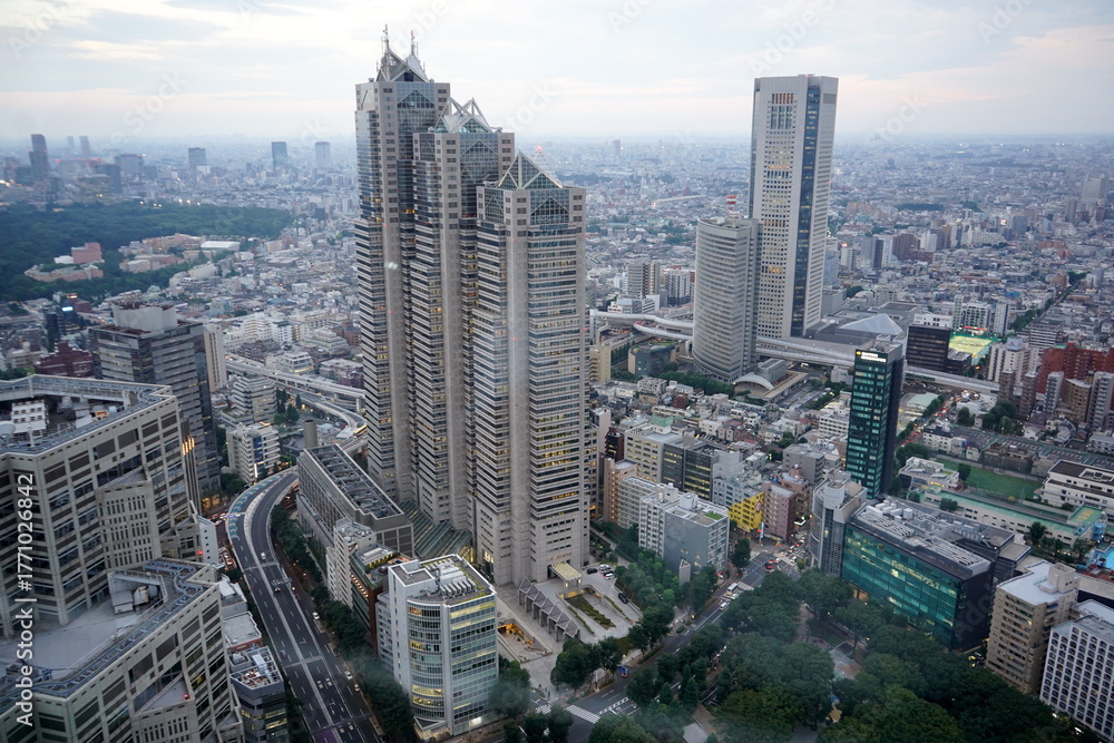 Obraz premium 曇天の夕暮れ時に高層ビル群を見下ろす形で広範囲に撮影した東京の都会の景観です。複雑な形状のビルが立ち並び都市のスケール感が伝わってきます。