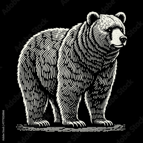 Majestic Grizzly Bear Illustration in Striking Black and White.