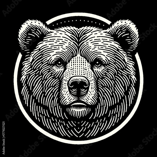 Intense Bear Portrait in a White Circle on Black Background.