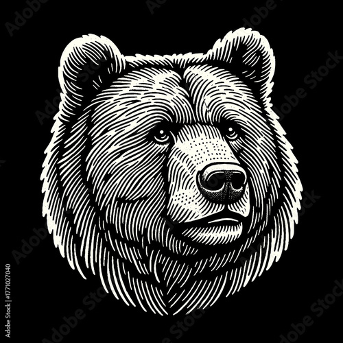 Intricate Bear Portrait: Detailed Engraving on Black Background.