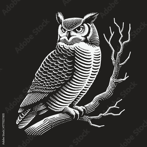 Intricate Owl Perched on Branch in Detailed Engraving.