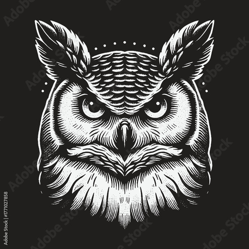 Intense Owl Portrait: Detailed Black and White Illustration.