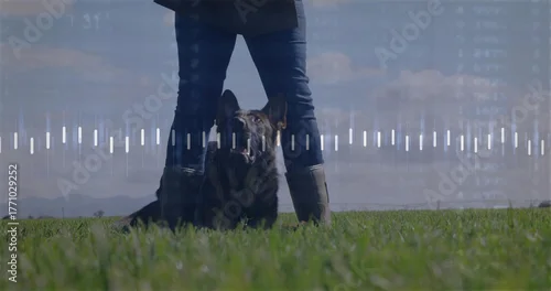 Fototapeta Standing dog handler wearing green rubber boots beside shepherd dog in field, waveform overlay