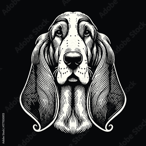 Basset Hound Portrait: Detailed Black and White Illustration.