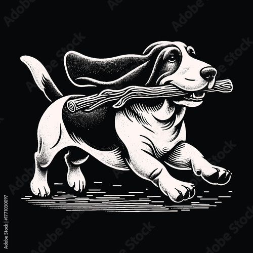 Basset Hound Joyfully Running with a Stick in its Mouth.