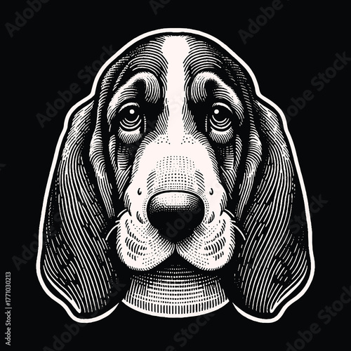 Detailed Basset Hound Portrait in Black and White.