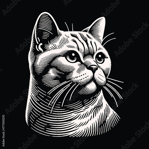 Detailed Engraving of a Cats Face on Black Background.