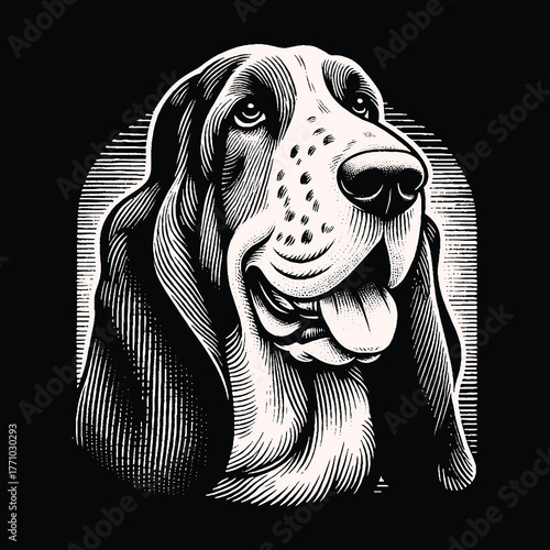 Basset Hound Portrait: Detailed Black and White Illustration.