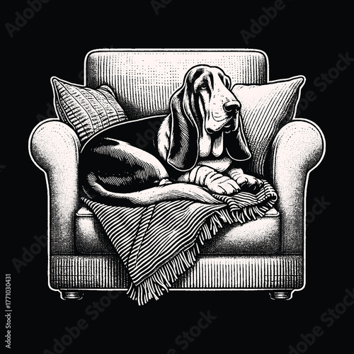 Basset Hound Relaxing Comfortably on a Cozy Armchair.