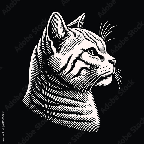 Elegant Cat Portrait: A Detailed Black and White Illustration.
