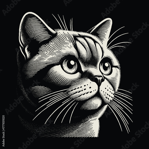 Intricate Engraved Cat Portrait: Detailed Black and White Illustration.