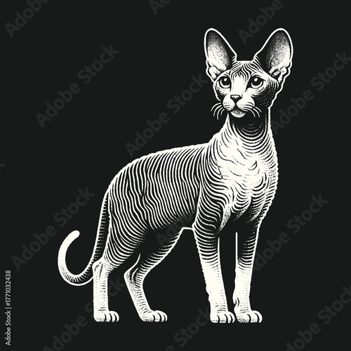 Elegant Sphynx Cat Portrait in Detailed Engraving Style.