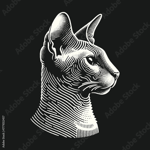 Elegant Sphynx Cat Profile in Detailed Engraving Style.