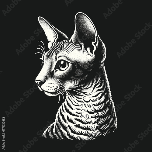Elegant Sphynx Cat Portrait in Detailed Black and White.