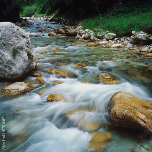 stream in the forest