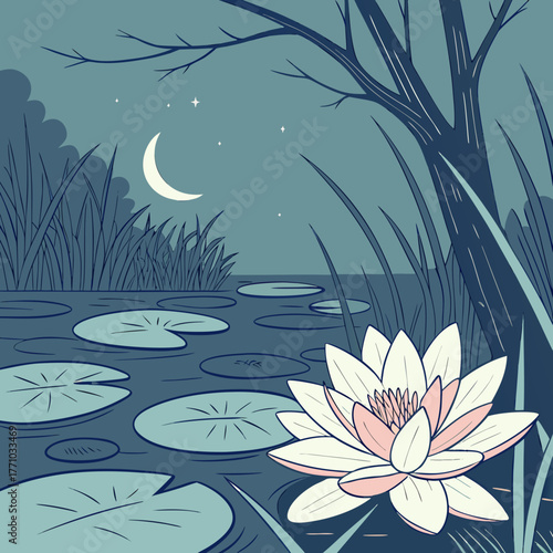 water lilies in the pond