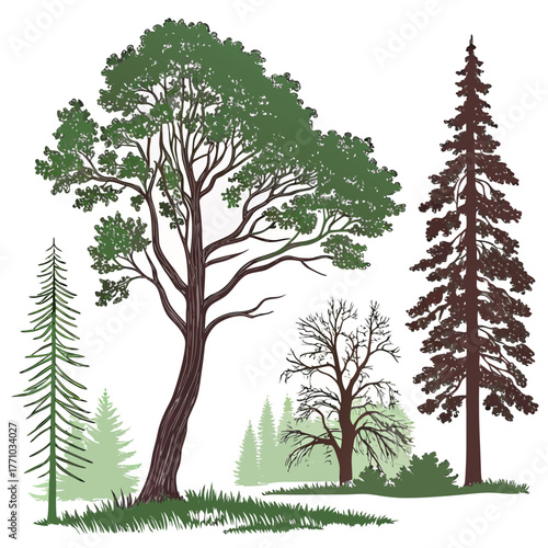 set of trees