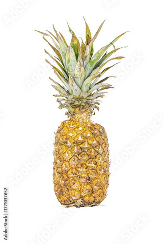 Whole pineapple fruit isolated against a transparent background, captured in studio with detailed texture of the skin and sharp green leaves, emphasizing color contrast and structure.