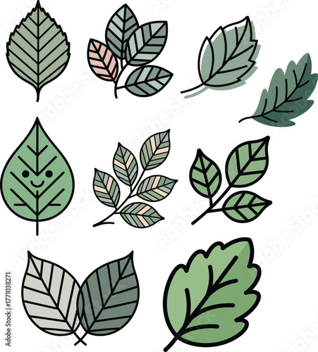 elm leaf collection with green botanical foliage in natural clean style