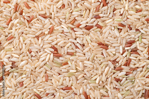 Thai brown rice seed (Highland wild rice) texture background