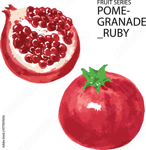 pomegranate isolated on white background