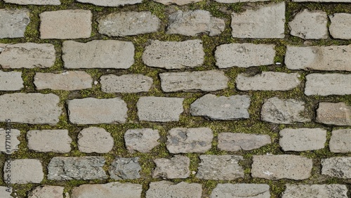close up view of aged rectangular stone bricks with moss growing in between on an old weathered wall