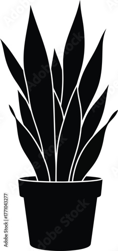 Silhouette of a potted snake plant silhouette of a potted sansevieria plant clean icon for interior design and botany vector
