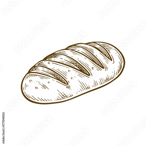 Baguette bread hand drawn illustration. Baguette bread vector line art