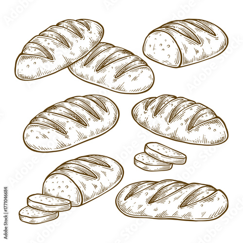 Set of baguette bread hand drawn illustration. Baguette bread vector line art collection