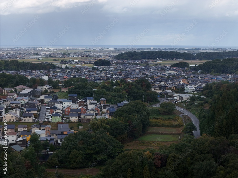 Obraz premium A city view with a lot of houses and trees. The sky is cloudy and the sun is not visible