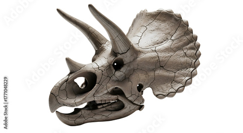 An intricate and ancient dinosaur skull, showcasing the powerful features of a long-extinct creature isolated on transparent background	

