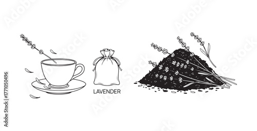 A vector line art of dry lavender flowers. It's an outline illustration for floral tea. A black and white sketch of officinalis perfect for aroma sachets. A bunch of herbs drawn on a plain background