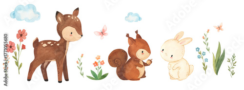 Watercolor deer, bunny, squirrel illustration for kids