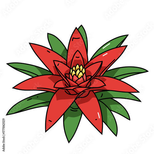 A vibrant red tropical bromeliad flower with lush green leaves, depicted in a clean and simple line art vector illustration style