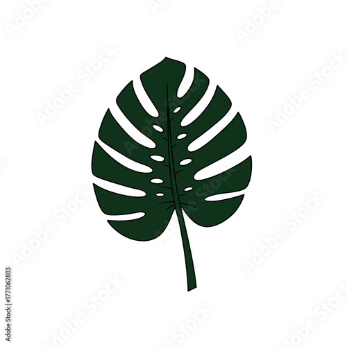 Vector illustration of a single dark green Monstera deliciosa leaf. Isolated botanical graphic element on a white background for design