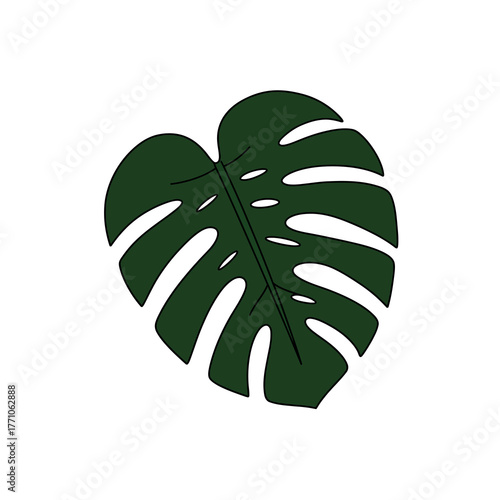 A simple vector illustration of a single green Monstera deliciosa leaf. This flat design icon shows the tropical plant's unique shape