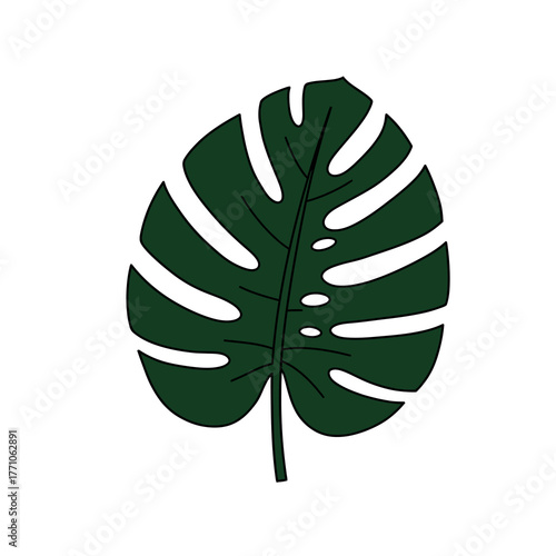Simple vector illustration of a tropical Monstera deliciosa leaf isolated on a white background. Minimalist botanical art
