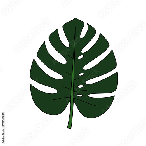 Vector illustration of a green Monstera deliciosa leaf. Tropical plant line art drawing, an isolated botanical design element for nature themes